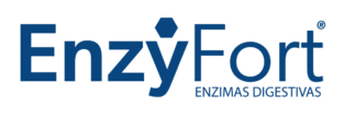 logo enzyfort® 1